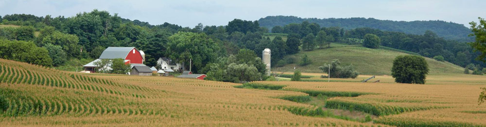 Wisconsin Farm